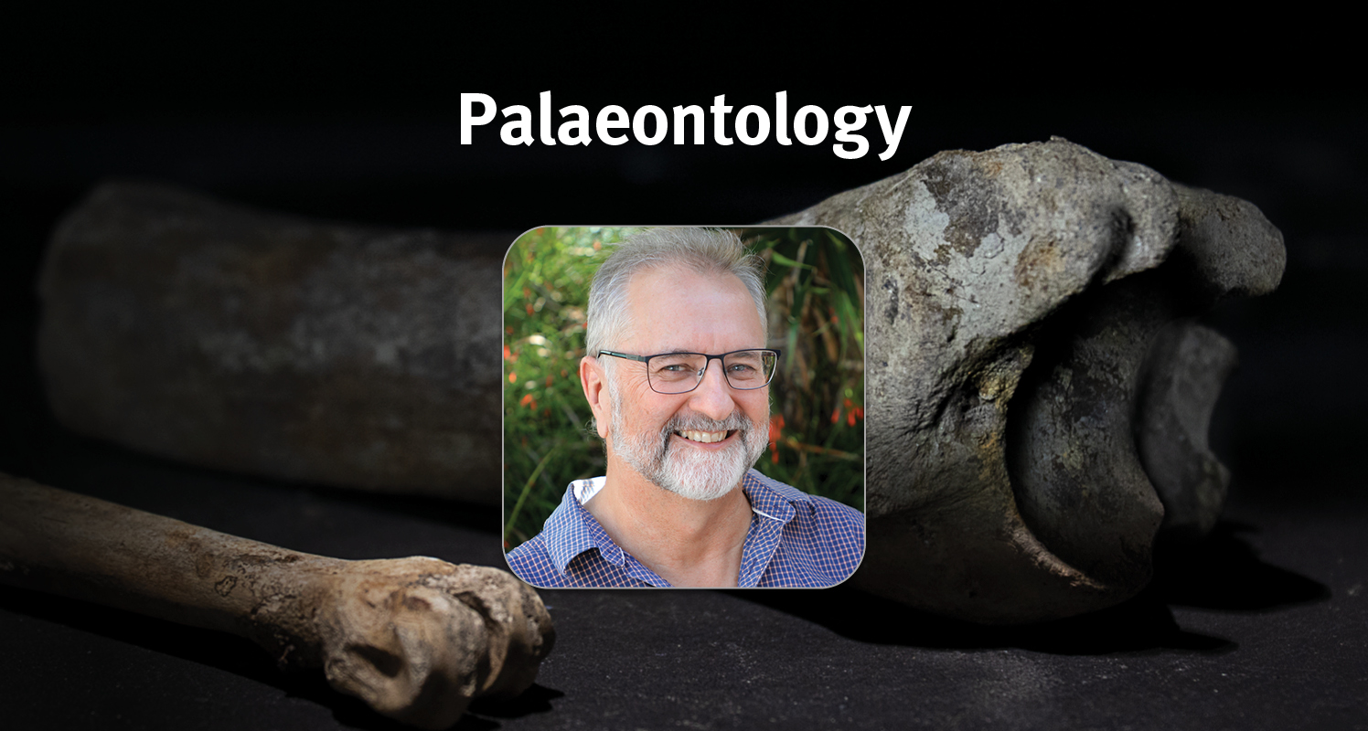 Image of Doctor Andrew Rozefelds