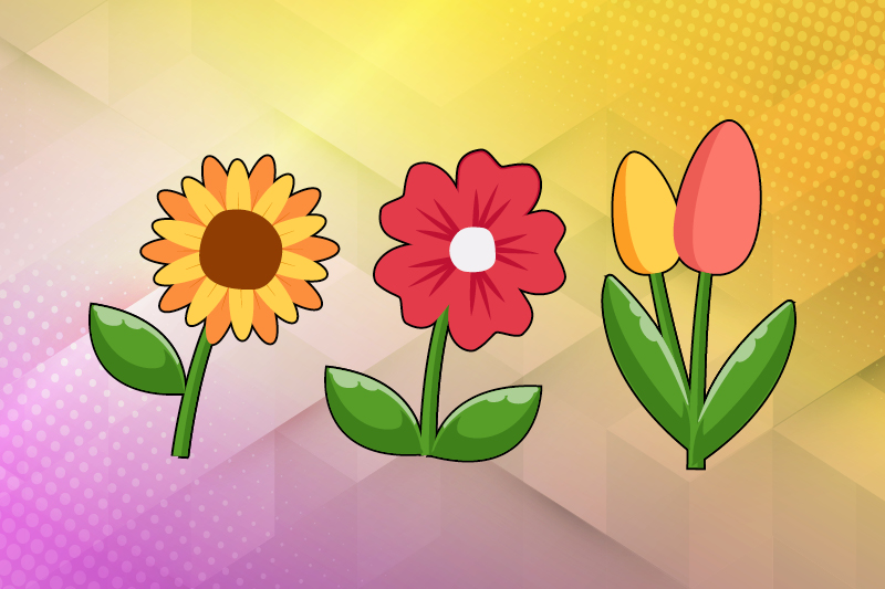 Cartoon of three flowers; a sunflower on the left, a red popping in the middle and a pink and yellow tulip on the right.